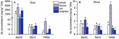 Uptake and Transformation of Methylated and Inorganic Antimony in Plants